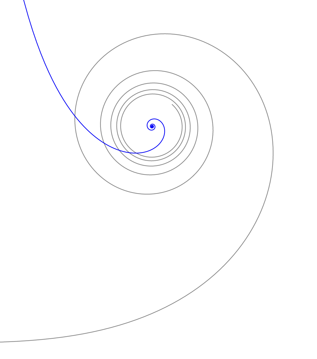 Image of Euler spiral and its evolute